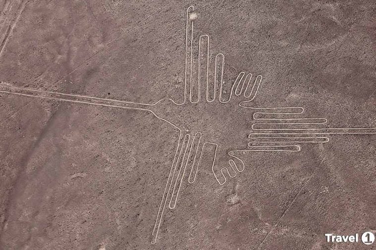 Tour líneas de Nazca