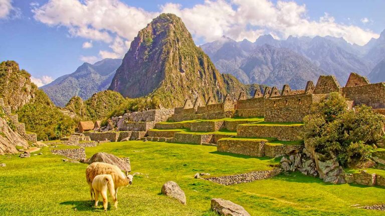 Machu Picchu tips and recommendations 