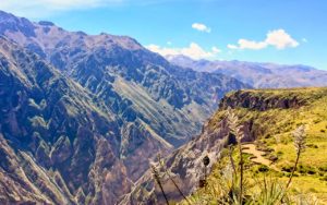 Cañón del Colca